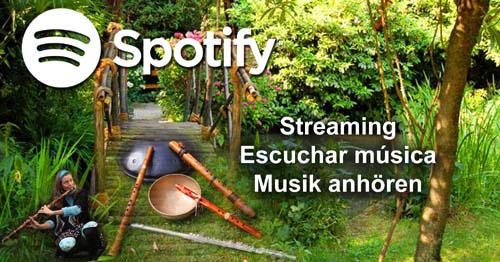 Spotify Playlists