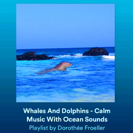Calm Ocean Music - Spotify Playlist
