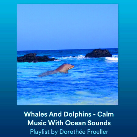 Spotify Playlist